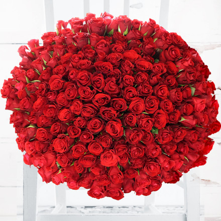 200 Red Roses