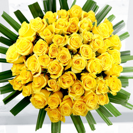 50 Sunshine Roses