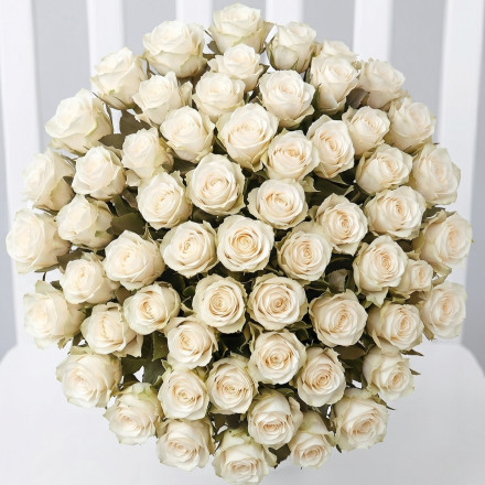 50 White Roses