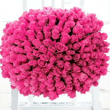 200 Pink Roses