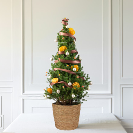 Alluring Amber 3ft Christmas Tree 
