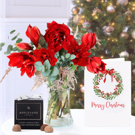 Amaryllis Bouquet, 12 Mixed Truffles & Christmas Card
