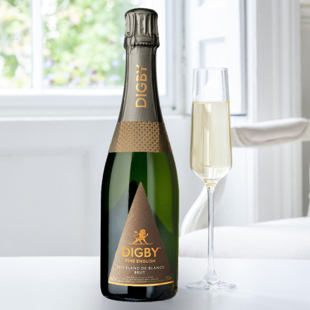 Digby Fine English Vintage Blanc de Blanc 75cl