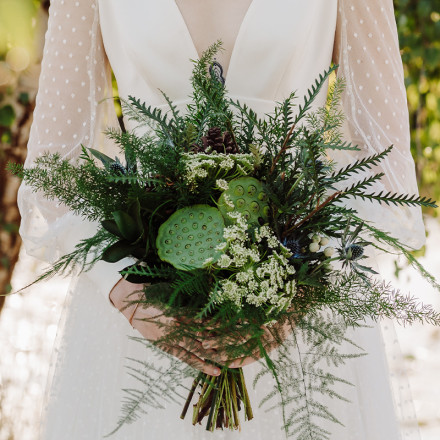 Enchanted Forest Collection