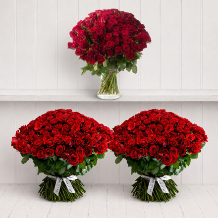 A Room Full of 500 Red Roses