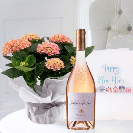 Gift Wrapped Pink Hydrangea Plant, Whispering Angel & New Home Card