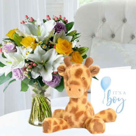 Glaze, Keels Huggy Giraffe (17cm) & New Baby Card