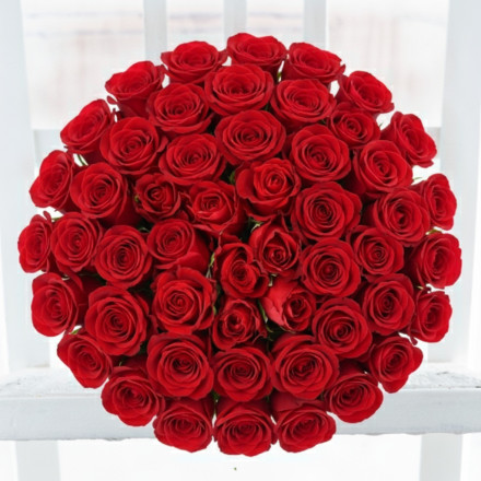 50 Red Roses