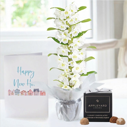 White Scented Dendrobium Orchid in Pot, 12 Truffles & New Home Card