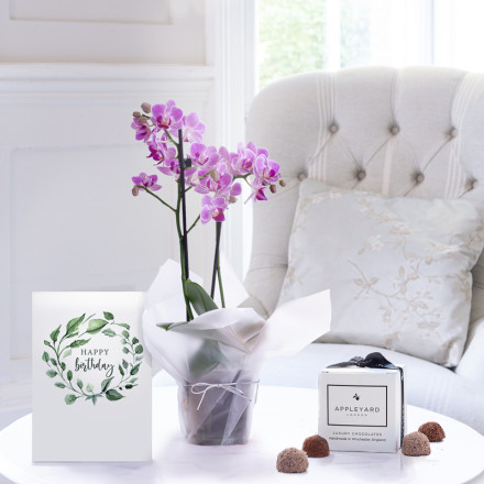 Mini Pink Orchid (20-25cm), 6 Mixed Truffles & Birthday Card