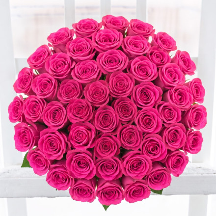 50 Pink Roses