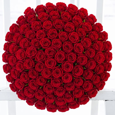 100 Red Roses