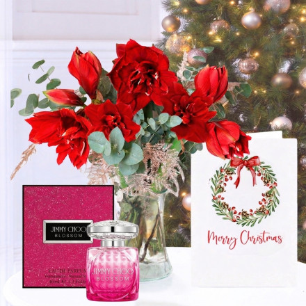 amaryllis bouquet, Jimmy Choo Blossom Eau de Parfum (40ml) & Christmas Card