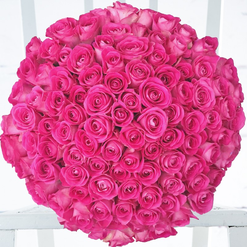 100 Pink Roses 