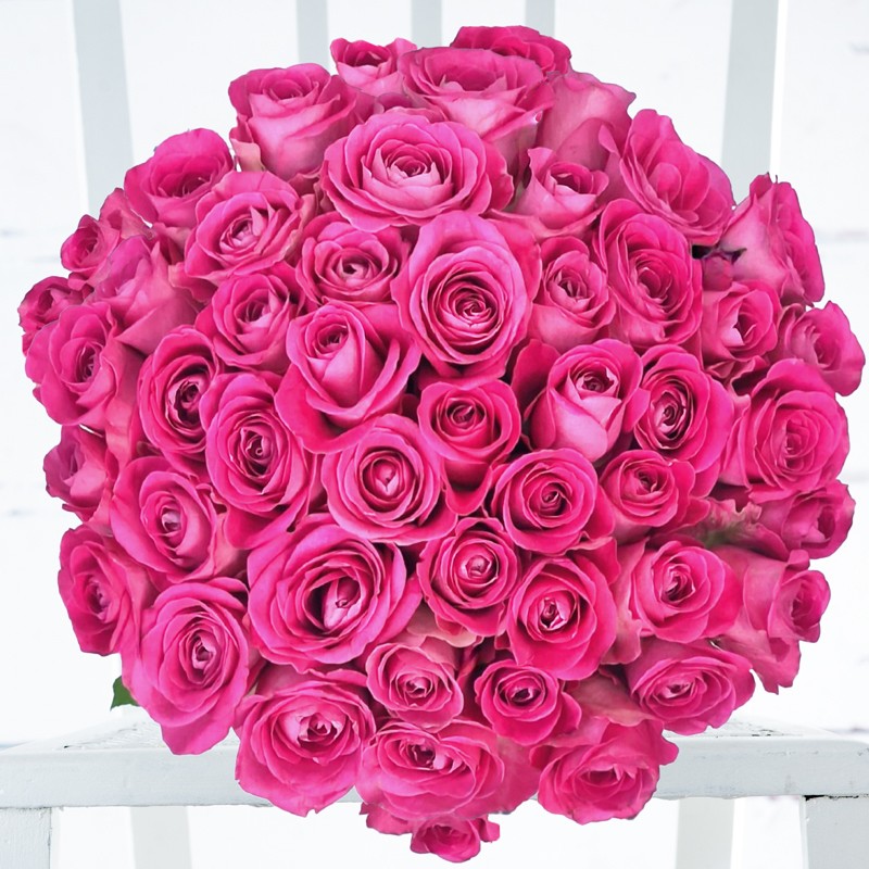 50 Pink Roses