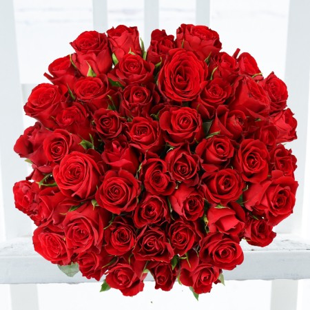 50 Red Roses