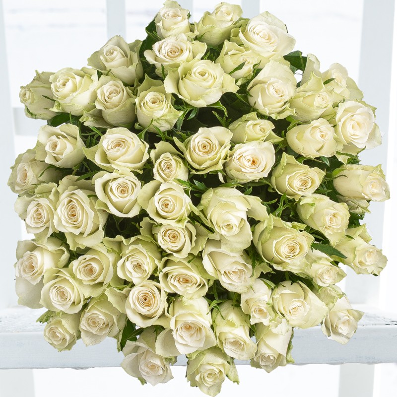 50 White Roses