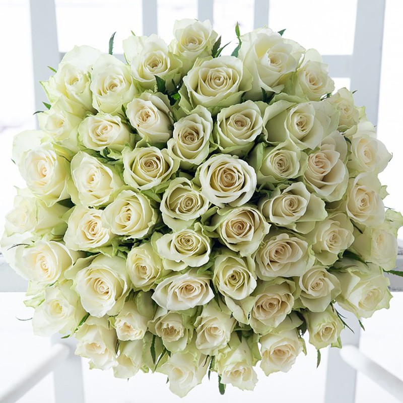 50 Luxury White Roses