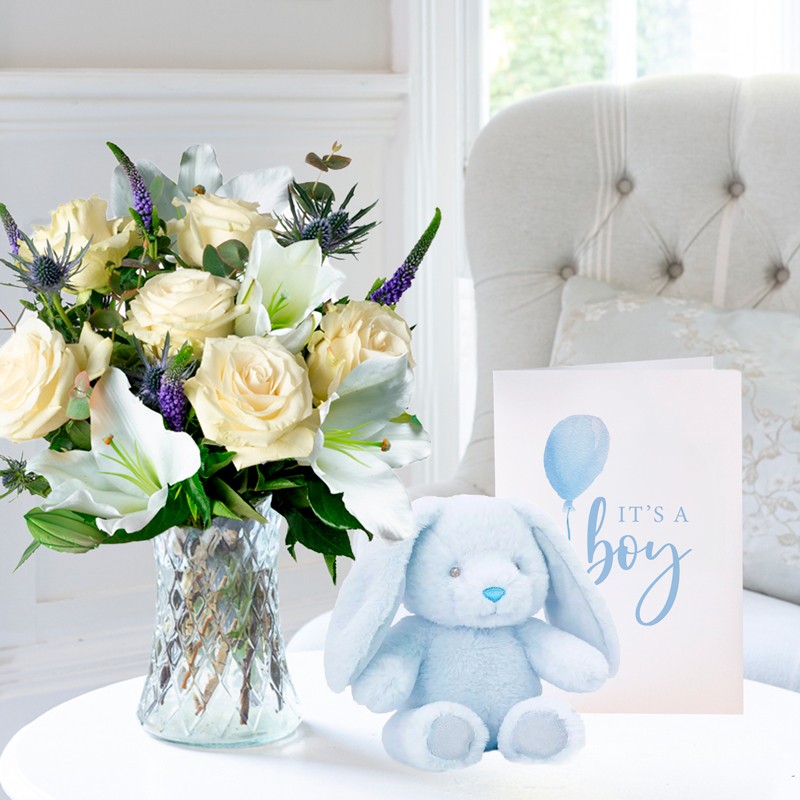 Lunar, Baby Boy Bunny & Baby Boy Card 