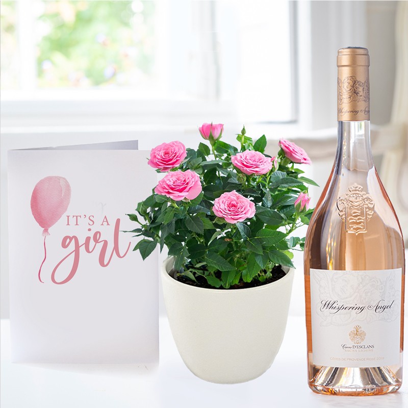 Pink Rose Plant in Pot, Whispering Angel & Baby Girl Card