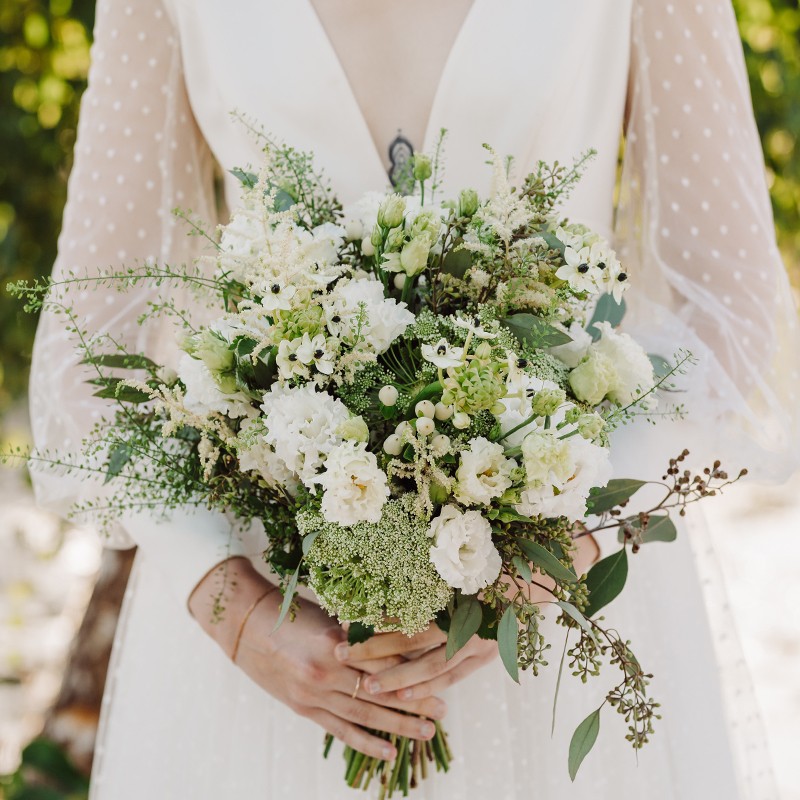 Wild Whimsy Collection Test