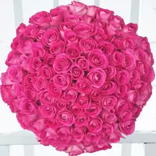 100 Pink Roses