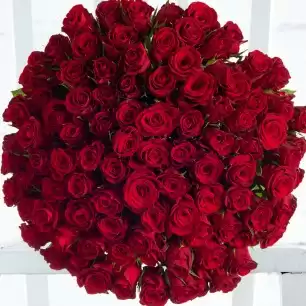 100 Red Roses