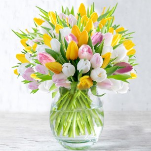 100 Springtime Tulips