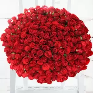 200 Red Roses