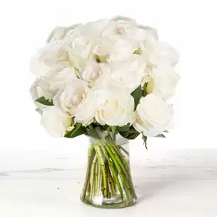12-24 White Roses