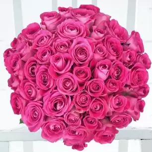 50 Pink Roses
