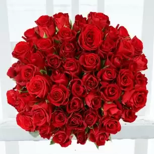 50 Red Roses Test