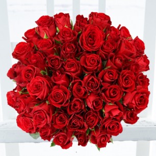 50 Red Roses