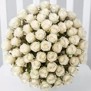 50 White Roses