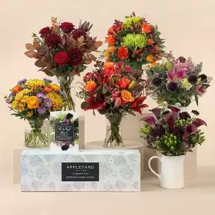 6 Months Of Seasonal Flowers