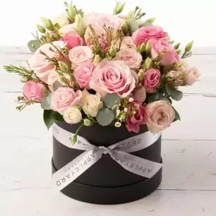 Affection Hatbox
