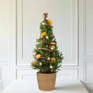 Alluring Amber 3ft Christmas Tree 