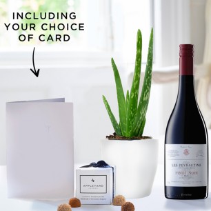 Aloe Vera Plant in a Pot, Les Peyrautins Pinot Noir, 6 Mixed Truffles & Gift Card