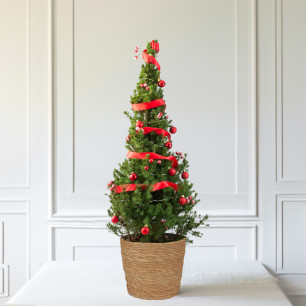 Christmas Adorn 3ft Christmas Tree