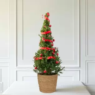 Christmas Adorn 3ft Christmas Tree