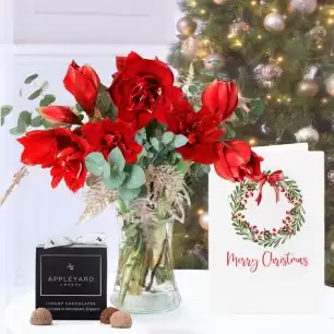 Amaryllis Bouquet, 12 Mixed Truffles & Christmas Card