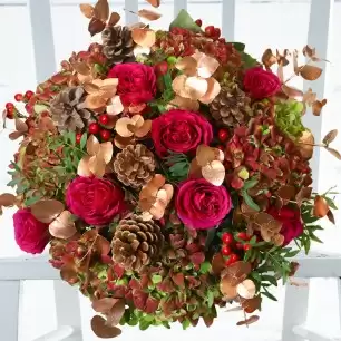 Winter Hydrangea