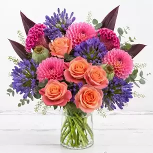 Dahlia Delight