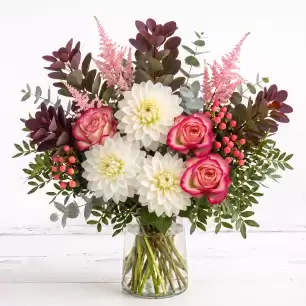 Dahlia Elegance