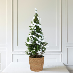 Frosty Mist 3ft Christmas Tree 