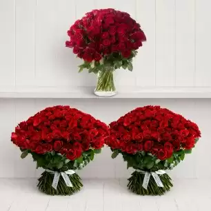 A Room Full of 500 Red Roses
