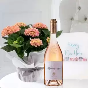Gift Wrapped Pink Hydrangea Plant, Whispering Angel & New Home Card