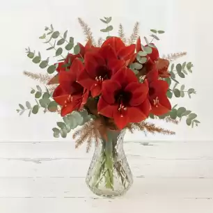 Amaryllis Bouquet
