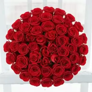 50 Red Roses