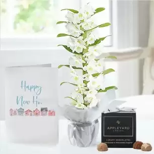 White Scented Dendrobium Orchid in Pot, 12 Truffles & New Home Card
